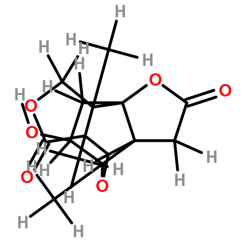 (+-) merrilactone A