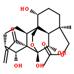 Xerophilusin G