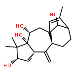 Grayanotoxa-10(20),15-diene-3,5,6,14-tetrol,(3b,6b,14R)- (9CI)