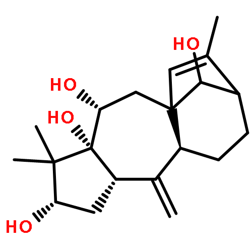 Grayanotoxa-10(20),15-diene-3,5,6,14-tetrol,(3b,6b,14R)- (9CI)