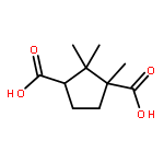 1,3-Cyclopentanedicarboxylic acid, 1,2,2-trimethyl-