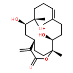 capillolide