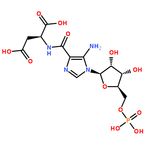 L-Aspartic acid,N-[[5-amino-1-(5-O-phosphono-b-D-ribofuranosyl)-1H-imidazol-4-yl]carbonyl]-