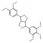 Magnolin