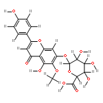 6-O-methyl-scutellarin