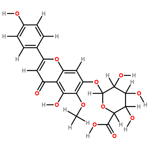 6-O-methyl-scutellarin