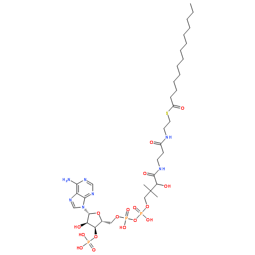 (17WEI )-17-ACETYL-17-HYDROXYESTRA-4,6-DIEN-3-ONE 