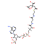 Coenzyme A,S-(2,3-dihydrogen 2-hydroxy-1,2,3-propanetricarboxylate)