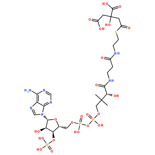 Coenzyme A,S-(2,3-dihydrogen 2-hydroxy-1,2,3-propanetricarboxylate)