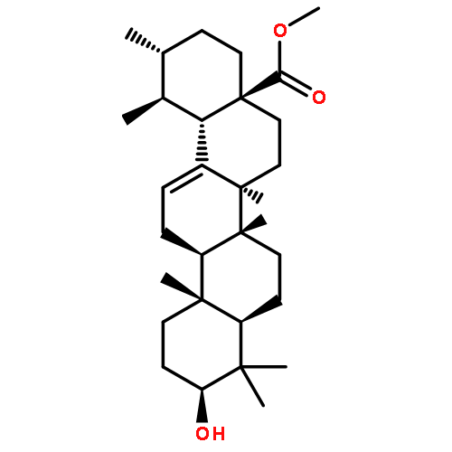 URSOLIC ACID METHYL ESTER 