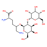 L-Lysine, 5-[(2-O-a-D-glucopyranosyl-b-D-galactopyranosyl)oxy]- (9CI)