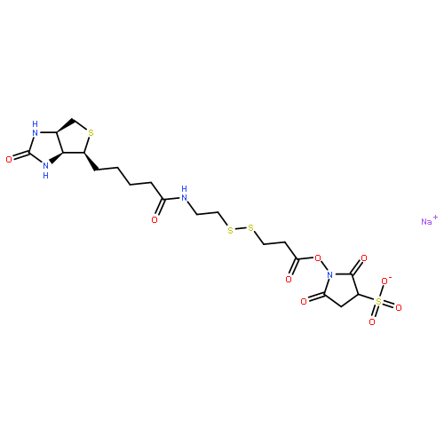 3-Pyrrolidinesulfonic acid,
1-[3-[[2-[[5-[(3aS,4S,6aR)-hexahydro-2-oxo-1H-thieno[3,4-d]imidazol-4
-yl]-1-oxopentyl]amino]ethyl]dithio]-1-oxopropoxy]-2,5-dioxo-,
monosodium salt