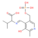 L-Valine,N-[[3-hydroxy-2-methyl-5-[(phosphonooxy)methyl]-4-pyridinyl]methylene]-