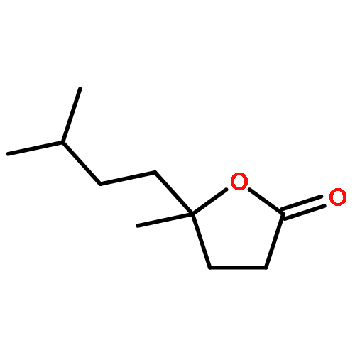 5-METHYL-5-(3-METHYLBUTYL)OXOLAN-2-ONE 