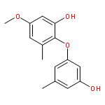 2-(3-HYDROXY-5-METHYLPHENOXY)-5-METHOXY-3-METHYLPHENOL 