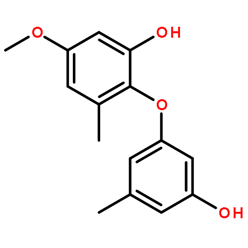 2-(3-HYDROXY-5-METHYLPHENOXY)-5-METHOXY-3-METHYLPHENOL 