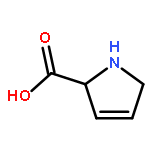 2,5-Dihydro-1H-pyrrole-2-carboxylic acid