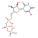 5-BROMOURIDINE TRIPHOSPHATE