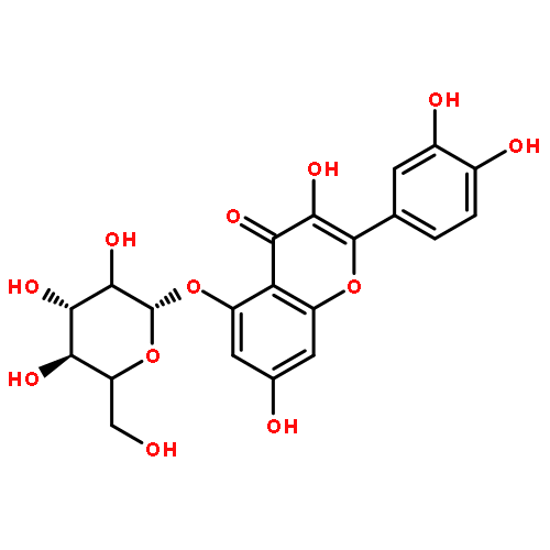 quercetin 5-glucoside