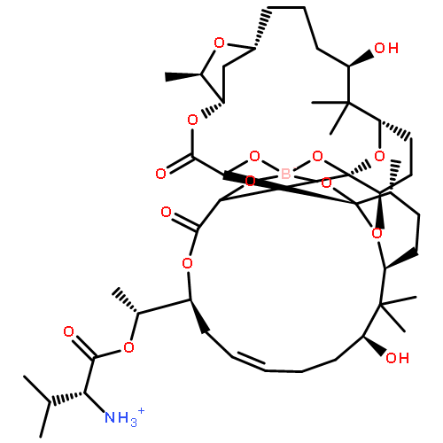 BOROMYCIN 