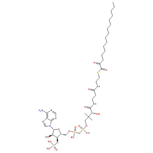 Coenzyme A,S-(3-oxohexadecanoate)