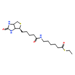 2,3-DICHLORODIBENZO-P-DIOXIN 