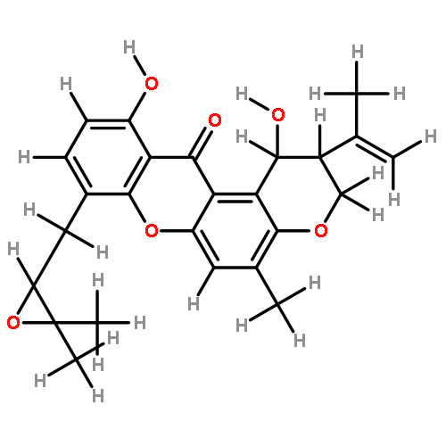 Tajixanthon