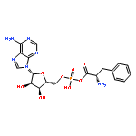 L-Phenylalanine,monoanhydride with 5'-adenylic acid