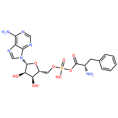 L-Phenylalanine,monoanhydride with 5'-adenylic acid