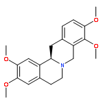 D-Tetrahydropalmatine