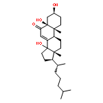 Riboflavin, radicalion(1-)