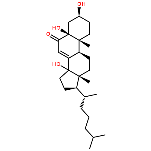 Riboflavin, radicalion(1-)