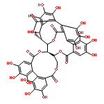 VESCALAGIN 