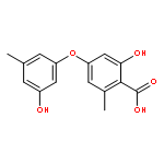 2-HYDROXY-4-(3-HYDROXY-5-METHYLPHENOXY)-6-METHYLBENZOIC ACID 