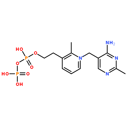 Pyridinium,1-[(4-amino-2-methyl-5-pyrimidinyl)methyl]-2-methyl-3-(4,6,6-trihydroxy-4,6-dioxido-3,5-dioxa-4,6-diphosphahex-1-yl)-