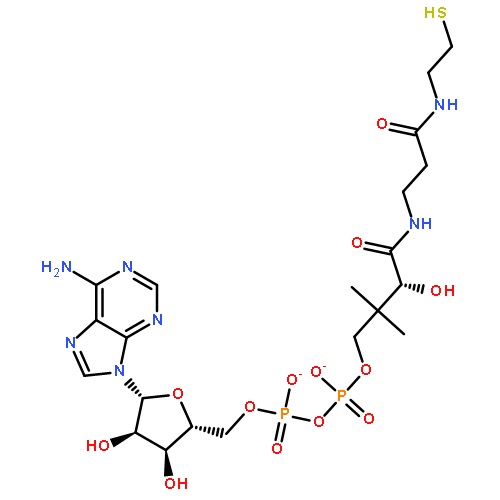 Coenzyme A,3'-O-dephosphono-