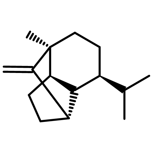 2-HYDROXY-1,7-NAPHTHYRIDIN-4(1H)-ONE 