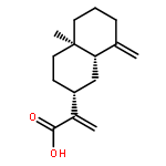 4-[2-(5,5,8,8-TETRAMETHYL-5,6,7,8-TETRAHYDRO-2-NAPHTHALENYL)-1,3-<WBR />DIOXOLAN-2-YL]BENZOIC ACID 