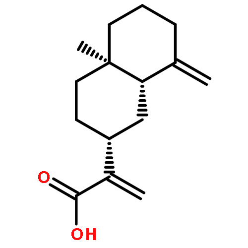 4-[2-(5,5,8,8-TETRAMETHYL-5,6,7,8-TETRAHYDRO-2-NAPHTHALENYL)-1,3-<WBR />DIOXOLAN-2-YL]BENZOIC ACID 