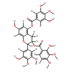 3,5-Di-O-galloylepigallocatechin