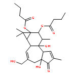 PHORBOL 12,13-DIBUTYRATE;(1AR,1BS,4AR,7AS,7BS,8R,9R,9AS)-1A,1B,4,4A,5,7A,7B,8,9,9A-DECAHYDRO-4A,7B-DIHYDROXY-3-(HYDROXYMETHYL)-1,1,6,8-TETRAMETHYL-5-OXO-1H-CYCLOPROPA[3,4]BENZ[1,2-E]AZULEN-9,9A-DIYLBUTANOICACIDESTER 