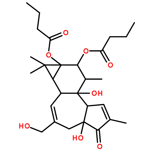 PHORBOL 12,13-DIBUTYRATE;(1AR,1BS,4AR,7AS,7BS,8R,9R,9AS)-1A,1B,4,4A,5,7A,7B,8,9,9A-DECAHYDRO-4A,7B-DIHYDROXY-3-(HYDROXYMETHYL)-1,1,6,8-TETRAMETHYL-5-OXO-1H-CYCLOPROPA[3,4]BENZ[1,2-E]AZULEN-9,9A-DIYLBUTANOICACIDESTER 