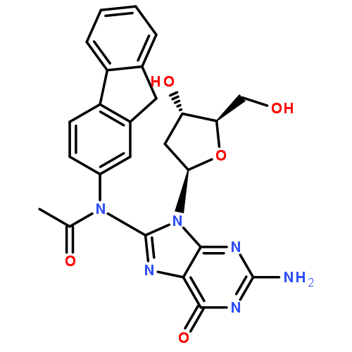 N-(deoxyguanosin-8-yl)-2-acetylaminofluorene