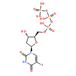 5-iodo-2'-deoxyuridine triphosphate