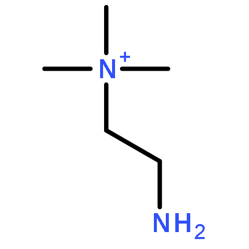 Ethanaminium,2-amino-N,N,N-trimethyl-