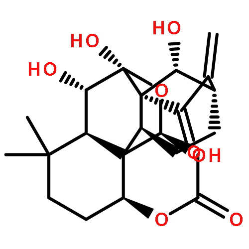 xerophilusin J