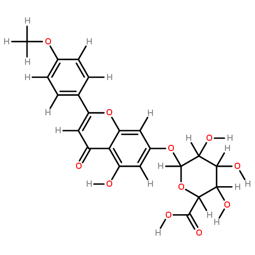 7-O-beta-D-Glucuronoside-Acacetien