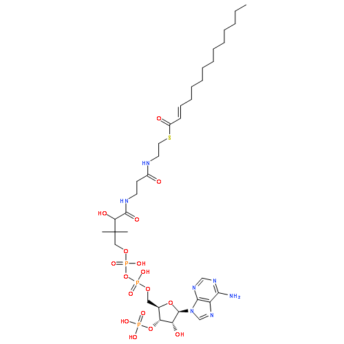 S-[2-[3-[[4-[[[(2R,3S,4R,5R)-5-(6-AMINOPURIN-9-YL)-4-HYDROXY-3-PHOSPHONOOXYOXOLAN-2-YL]METHOXY-HYDROXYPHOSPHORYL]OXY-HYDROXYPHOSPHORYL]OXY-2-HYDROXY-3,3-DIMETHYLBUTANOYL]AMINO]PROPANOYLAMINO]ETHYL] (E)-TETRADEC-2-ENETHIOATE