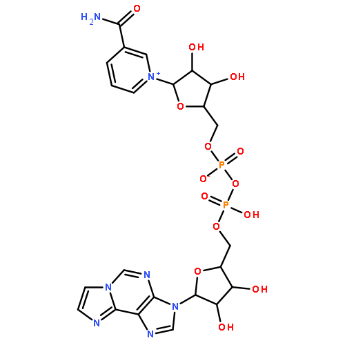 1,N6-ETHENO NAD 