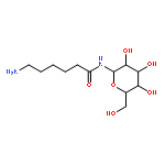 6-AMINO-N-BETA-D-GALACTOPYRANOSYL HEXANAMIDE 